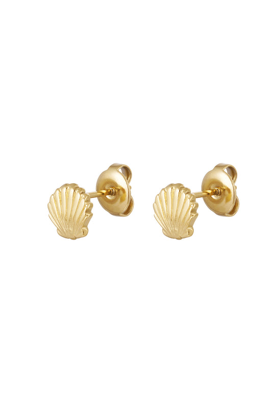 EAR STUDS SHELL